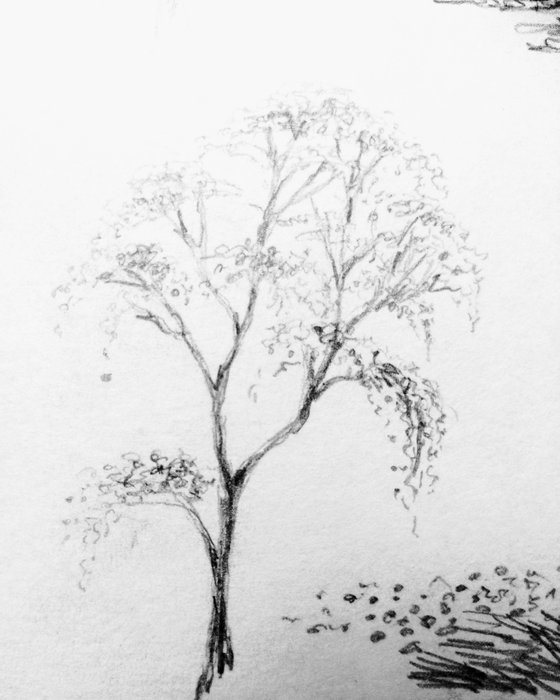 Plein air. Sketch # 4. Original pencil drawing.