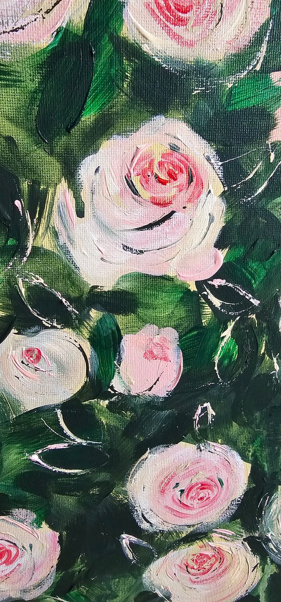 Pierre de Ronsard blooming roses bush