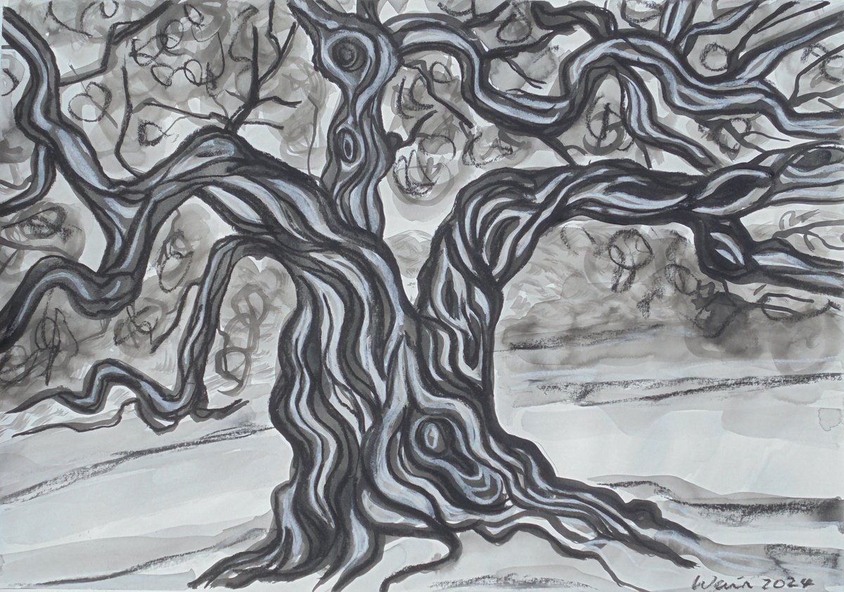 Olive Tree 9 by Kirsty Wain