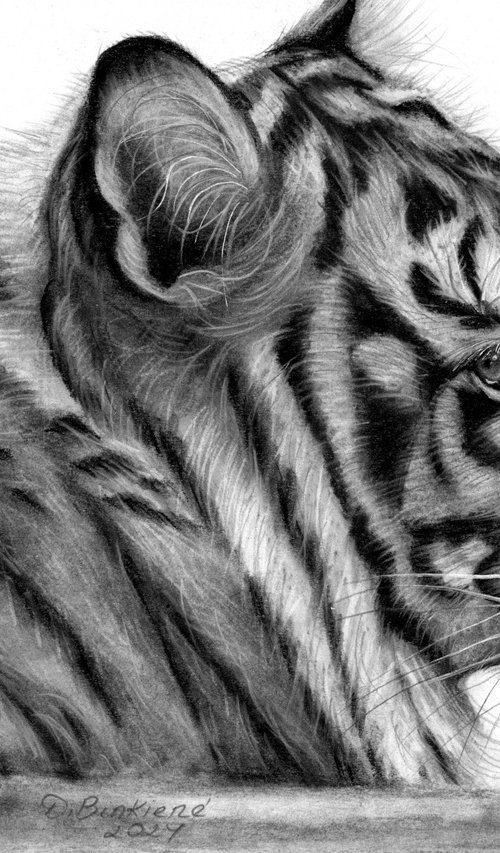 Tiger-wildlife by Dalia Binkiene