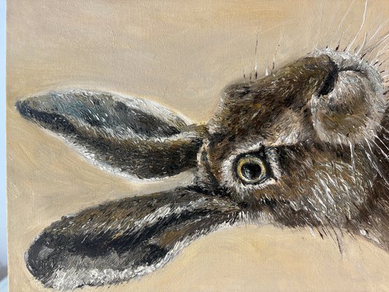 Framed Hare Oil Painting Original Impasto