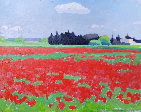 Poppy field