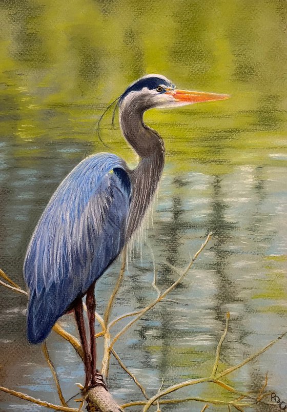 Azure Elegance: Heron in the Sebino Wetlands