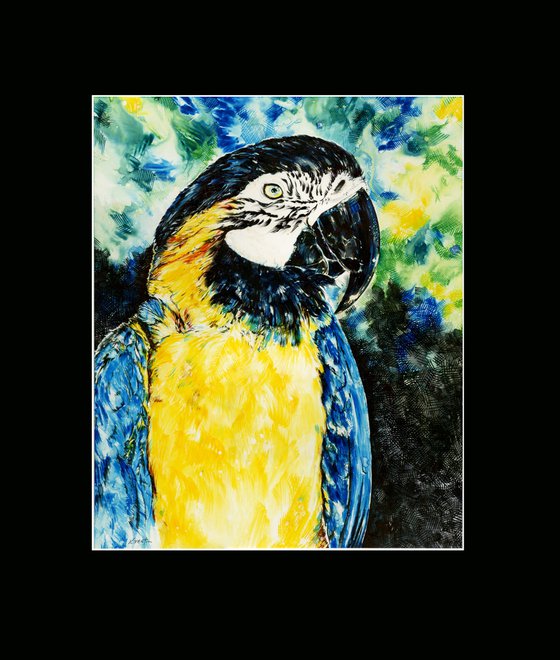 Bubba - Watercolor Parrot Bird painting by Kathy Morton Stanion