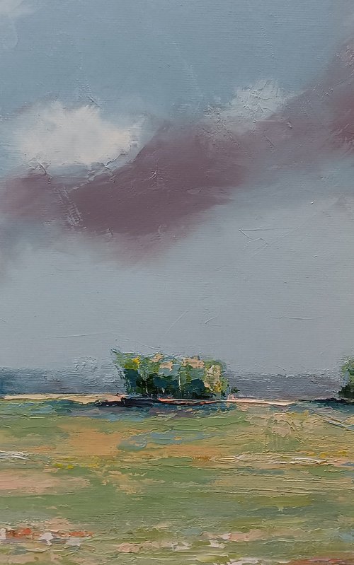 Landscape in my area. Landscape oil painting. by Marinko Šaric