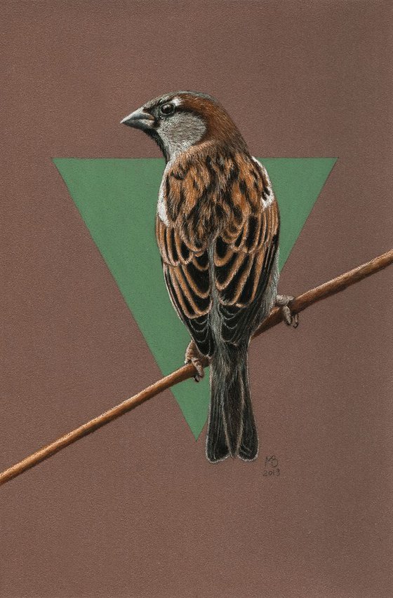 Original pastel drawing "House sparrow"