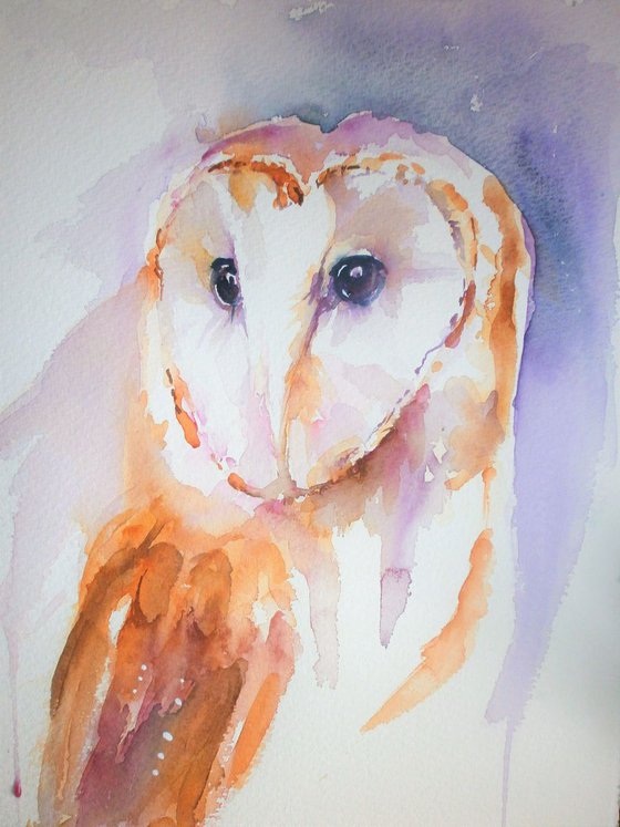 Barn Owl