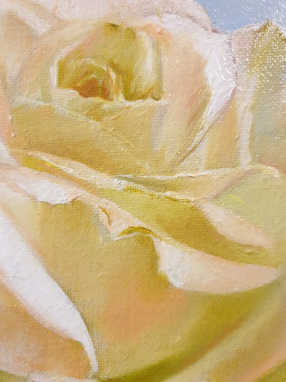 "Sounds of tenderness."  rose flower  liGHt original painting  GIFT (2021)