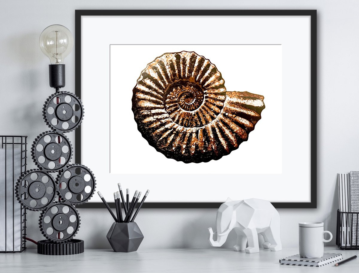 Ammonite (brown) linocut print by Ieuan Edwards