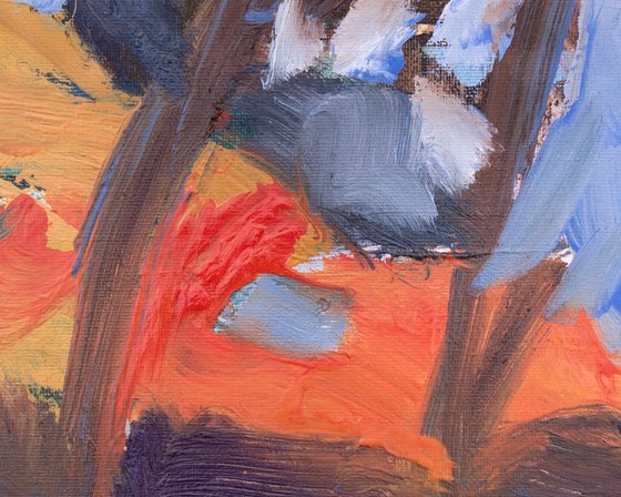 Hot Rocks and Pines