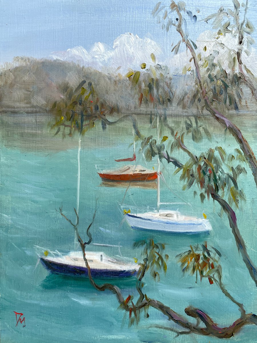 Boats around berry island by Shelly Du
