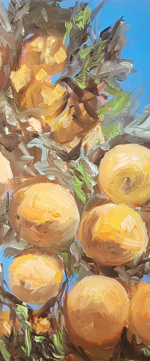 Lemon tree by Els Driesen