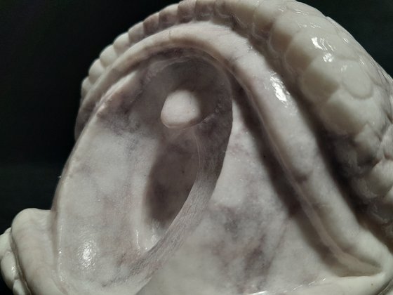 Dragon's Eye