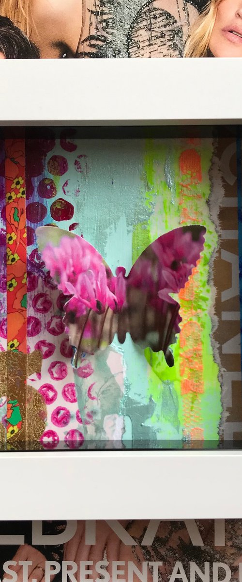 Mini Beauty  No9 - Abstract Butterfly in Box by Hernan Reinoso