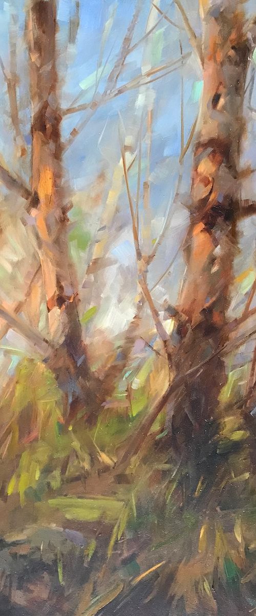 Birches, Landscape oil painting, One of a kind, Signed, Handmade artwork by Vahe Yeremyan
