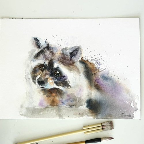 Raccoon portrait by Olga Shefranov (Tchefranov)