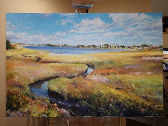 Late autumn marshes