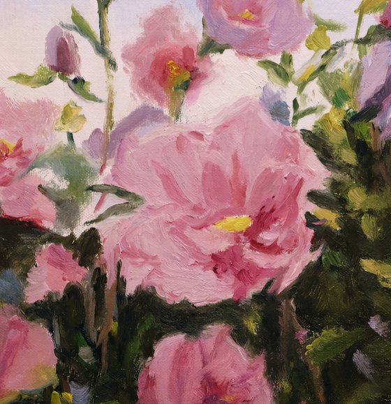 Purple Rose of Sharon Blossoms