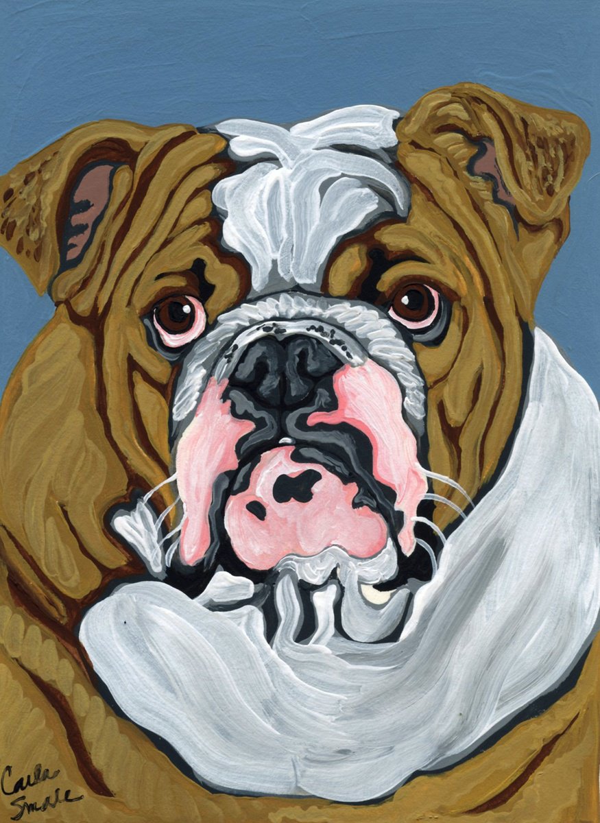 English Bulldog by Carla Smale