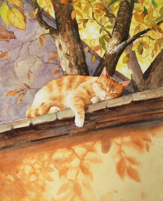 Catnap in the Golden Light