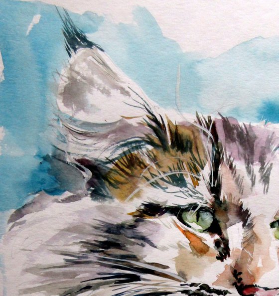 Cat portrait