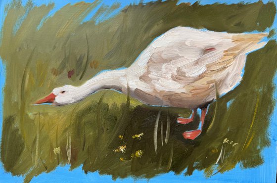 The Forager