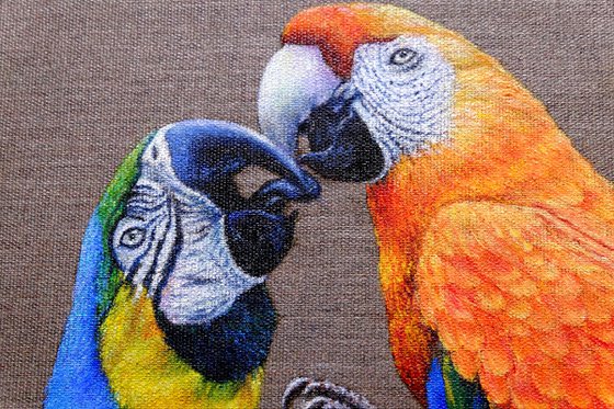 Bird. Parrot. Two Ara parrots in love.