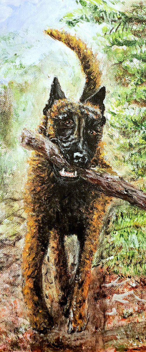 I Got The Stick by Robbie Potter