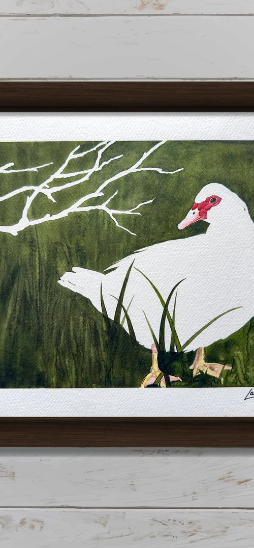 White duck by Lana Nuori