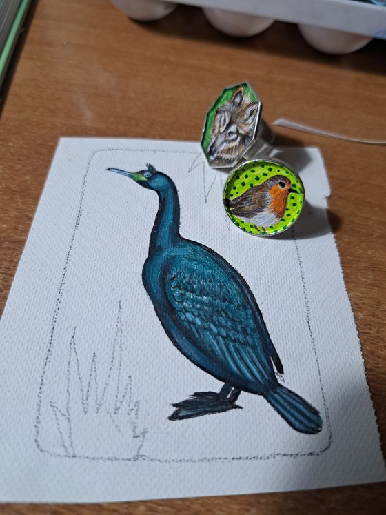 European shag, part of framed animal miniature series "festum animalium"