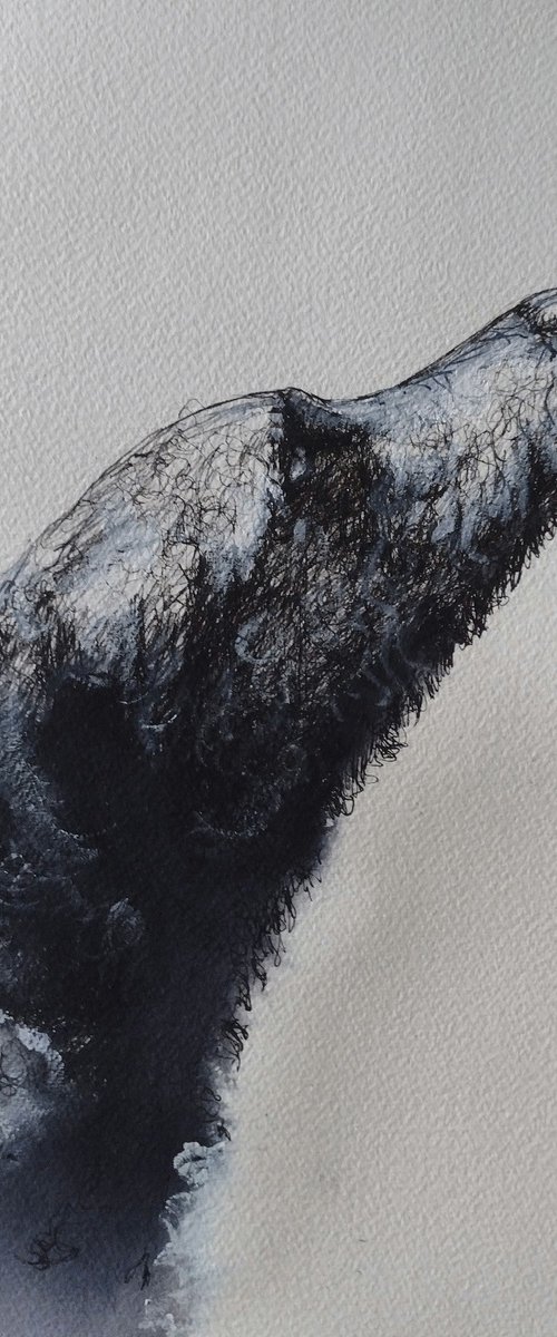 El perro by Marina Del Pozo