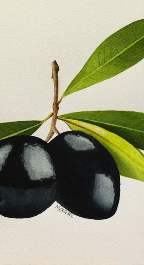 Black Olives by Dietrich Moravec