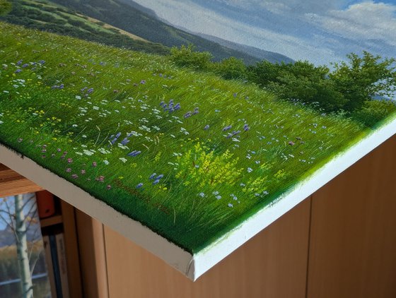 Meadows of early summer