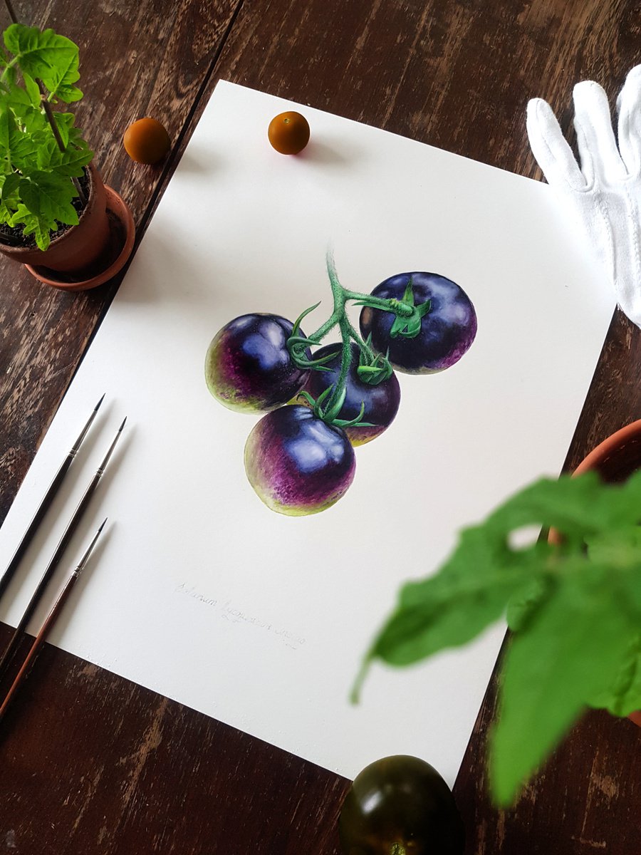 Indigo tomatoes by Dovydas Bou