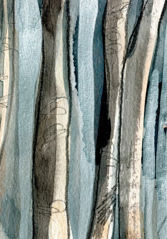 WINTER BIRCHES