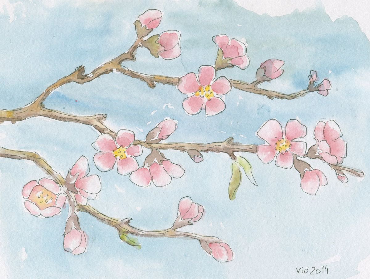 Cherry Blossom by Vio Valova