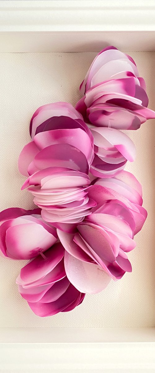 Sterling Roses by Swapna Namboodiri