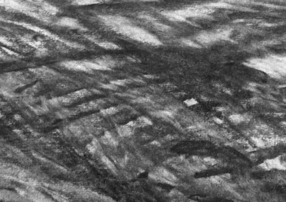 River Flow Patterns