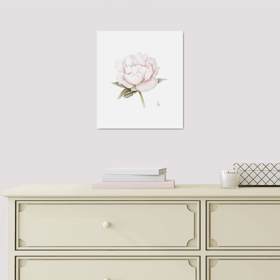 White peony