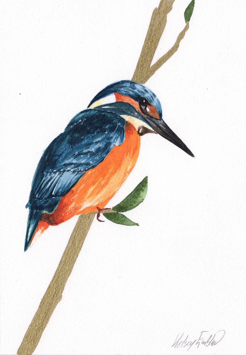 Kingfisher Watercolour by Kelsey Emblow