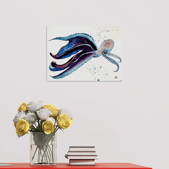 Octopus Polpo