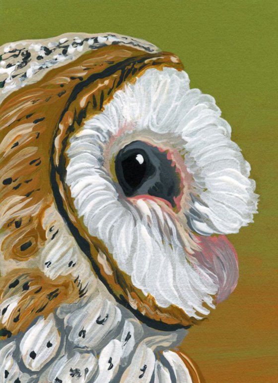 ACEO ATC Original Painting Barn Owl Wildlife Bird Art-Carla Smale