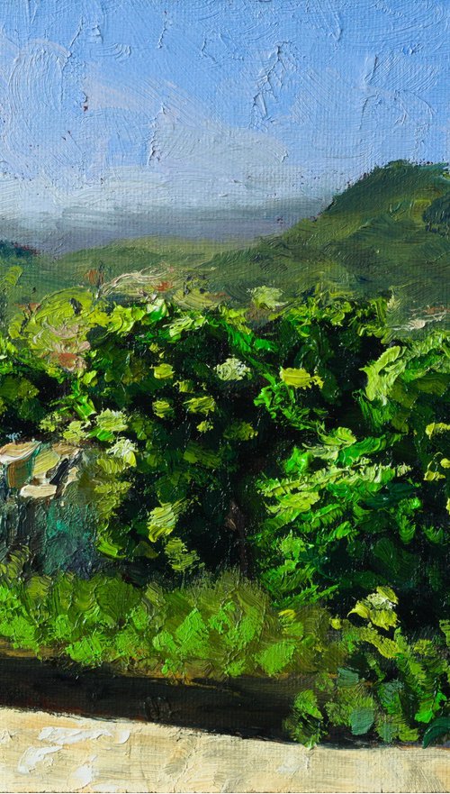 Carmignano Vista by Andrea Bocedi