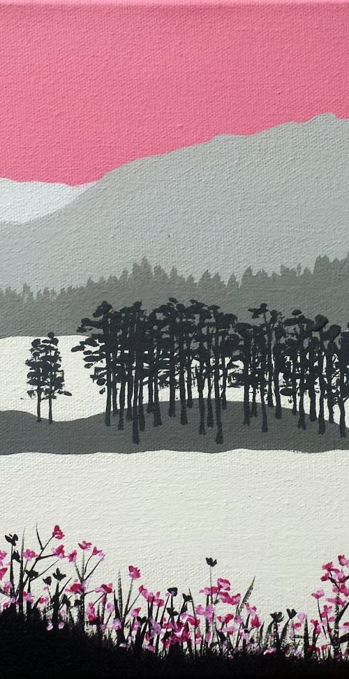 Tarn Hows, Lake District by Sam Martin