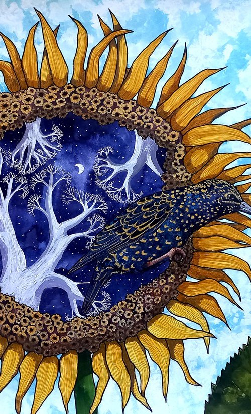 Out of the Night by Terri Smith