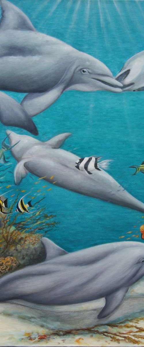 Dolphins Playground by Jane Moore