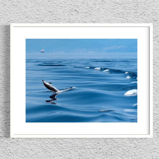 DOLPHIN JUMP