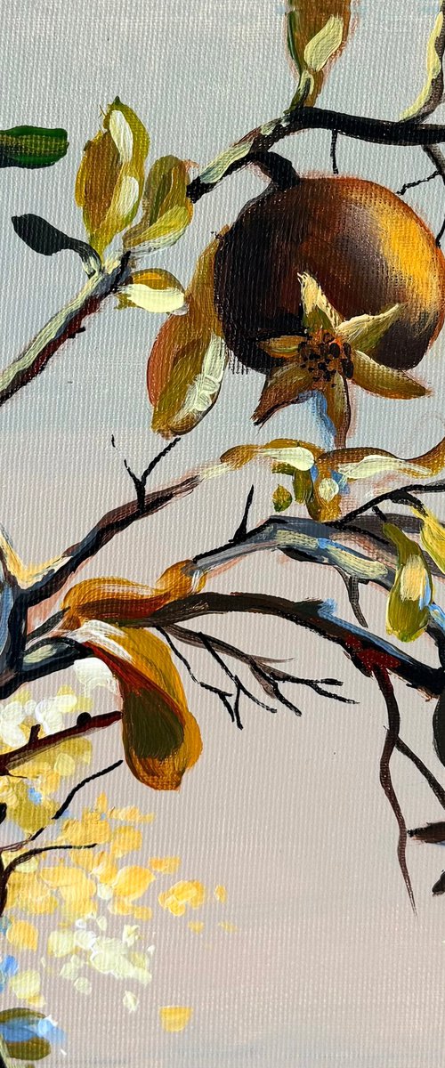 Pomegranate Season by Maria Kireev