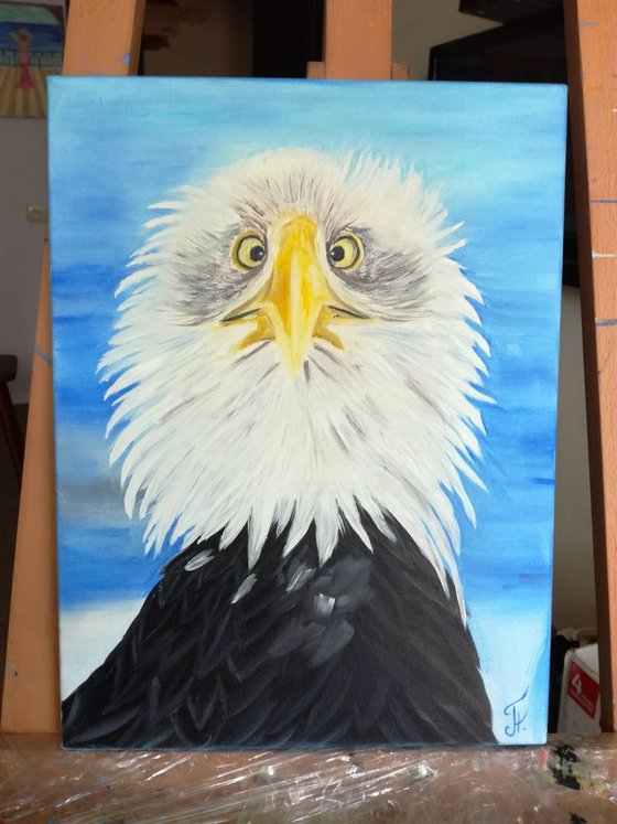 Guten morgen, gift, eagle, funny, oil art, original painting