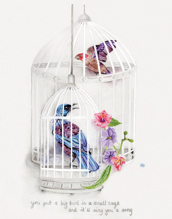 Big Bird in a Small Cage